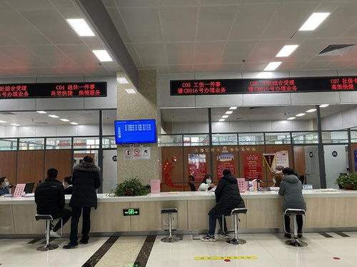 東營廣饒一件事集成服務便民提效暖人心，上海信息系統集成服務助力智慧城市升級
